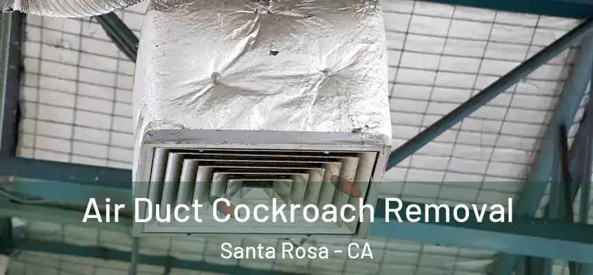 Air Duct Cockroach Removal Santa Rosa - CA