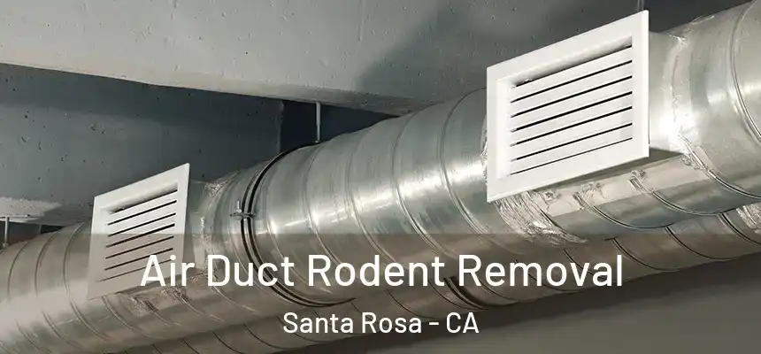 Air Duct Rodent Removal Santa Rosa - CA