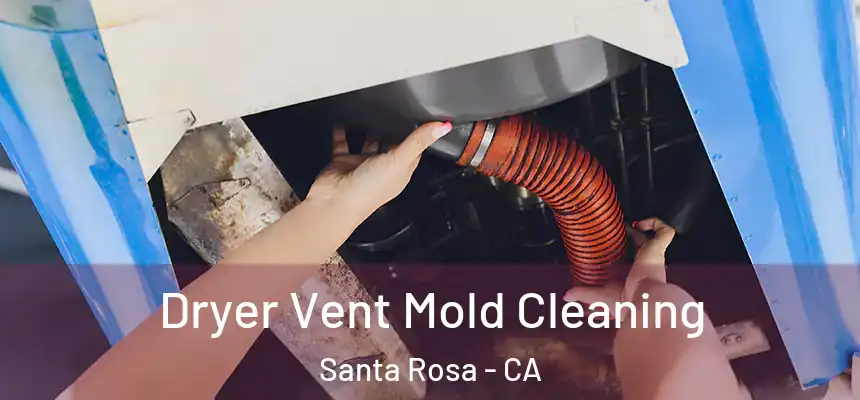 Dryer Vent Mold Cleaning Santa Rosa - CA