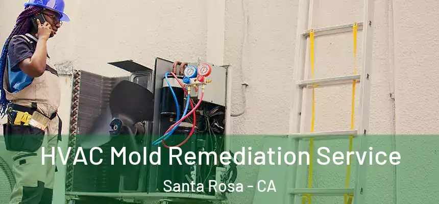 HVAC Mold Remediation Service Santa Rosa - CA