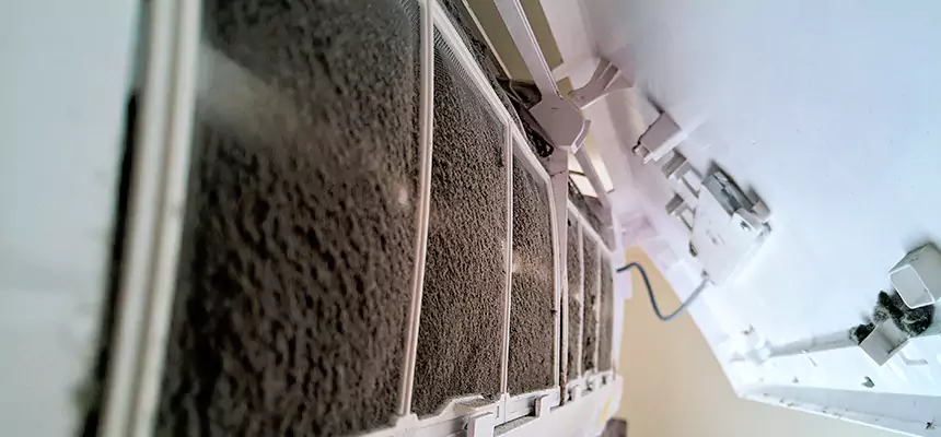 Preventive Air Duct Bacteria Removal in Santa Rosa