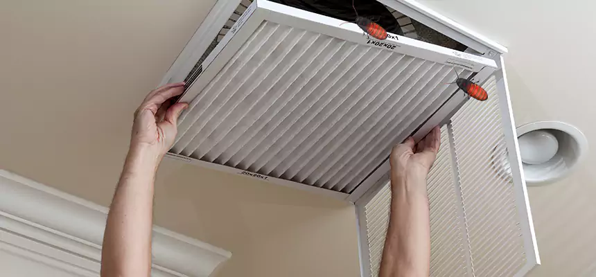 Preventive Cockroach-Proofing for Ducts in Santa Rosa