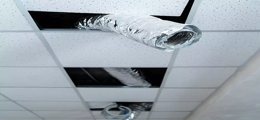 Our Air Duct Pet Hair Removal Services in Santa Rosa, CA