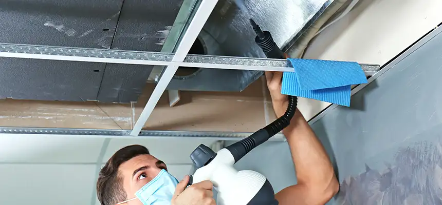 Our Air Duct Rodent Removal Services in Santa Rosa, CA