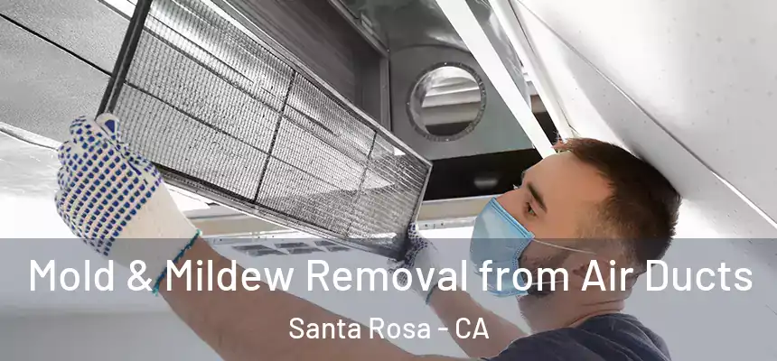  Mold & Mildew Removal from Air Ducts Santa Rosa - CA