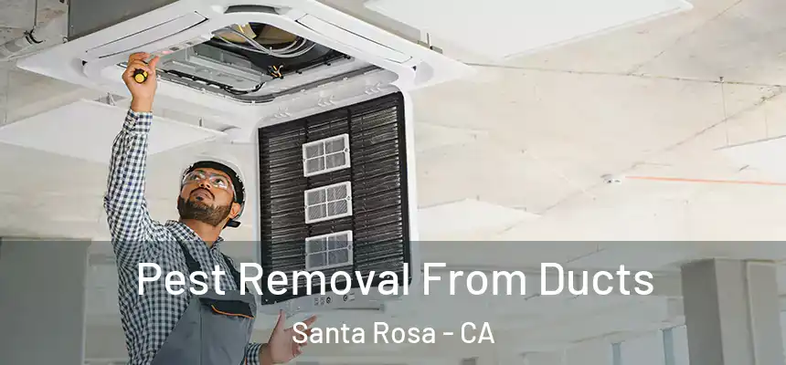 Pest Removal From Ducts Santa Rosa - CA