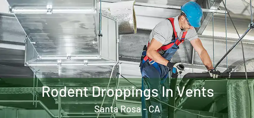 Rodent Droppings In Vents Santa Rosa - CA