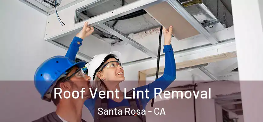 Roof Vent Lint Removal Santa Rosa - CA