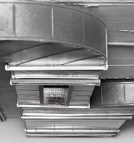 Professional Air Duct Pest Removal in Santa Rosa, CA