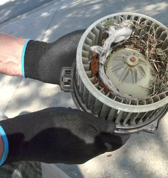 About Air Duct Rat Removal in Santa Rosa, CA