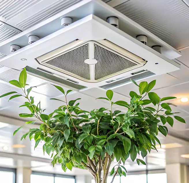 Why Homeowners & Businesses Trust Us in Santa Rosa, CA