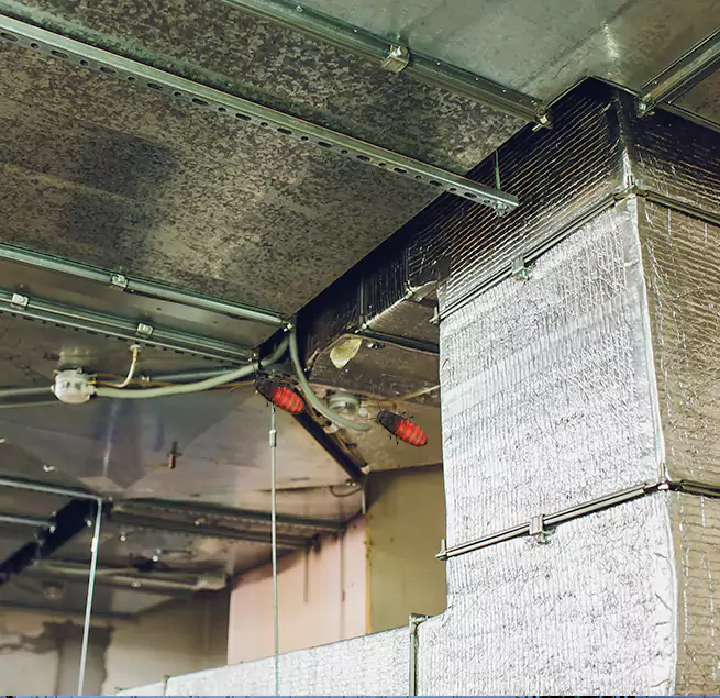 Why Homeowners & Businesses Trust Us Santa Rosa, CA?