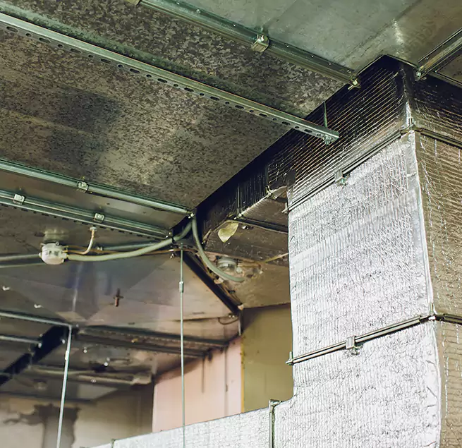 Why Homeowners & Businesses Trust Us in Santa Rosa, CA?